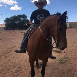 Meet your Posher, Don